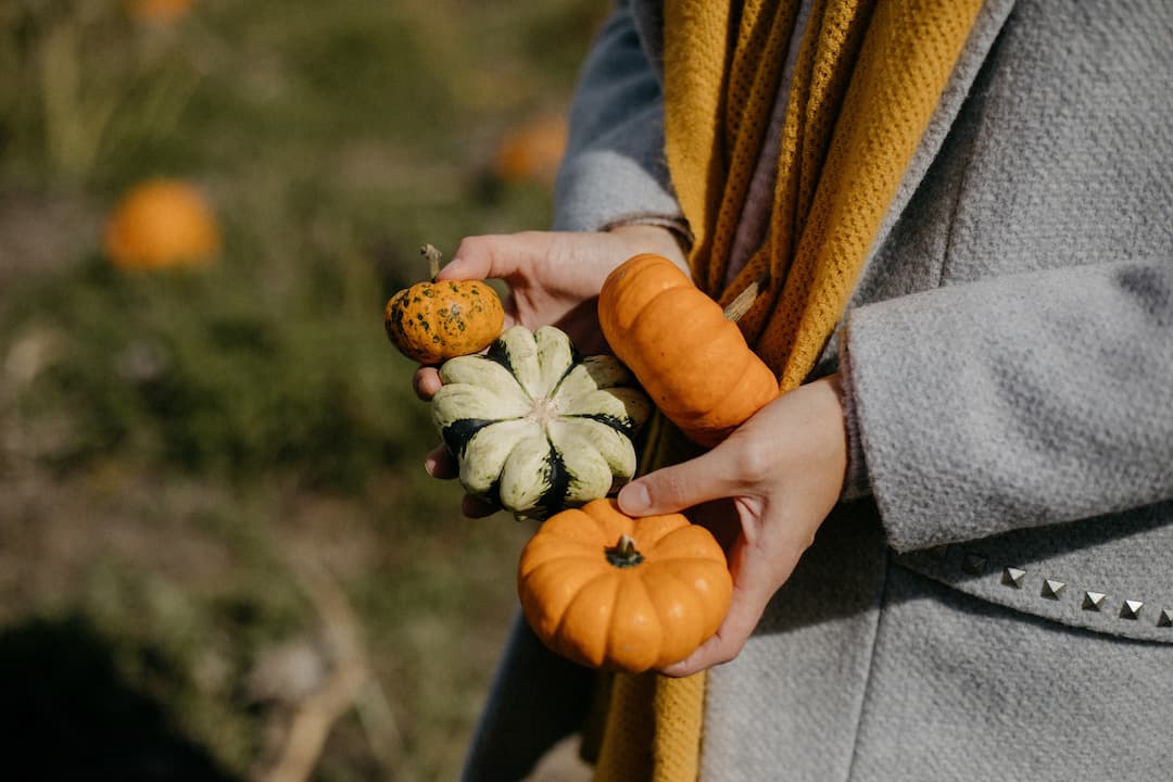 Centredinterpretationdelacourge