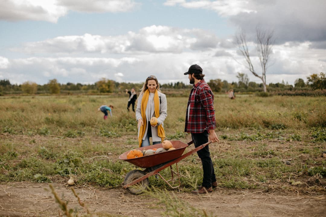 Centredinterpretationdelacourge