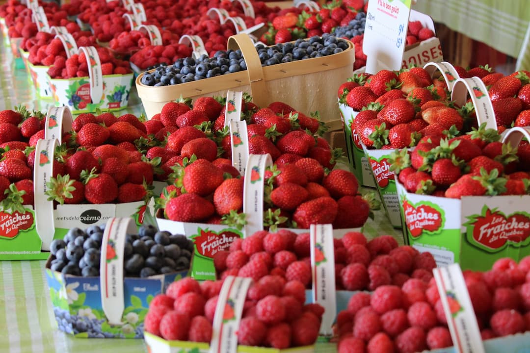 Au pays des petits fruits