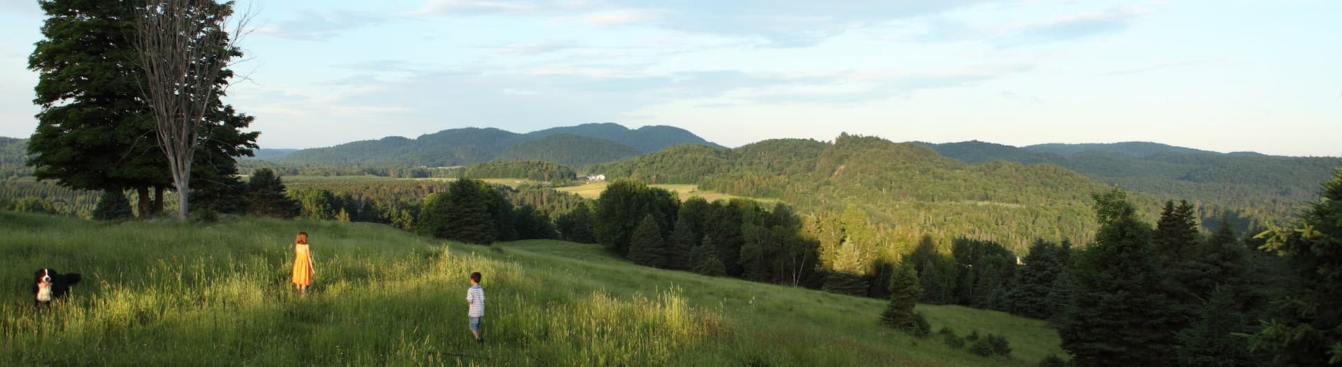 MRC d'Argenteuil regroupe les villes de Lachute et Brownsburg-Chatham dans les Laurentides.