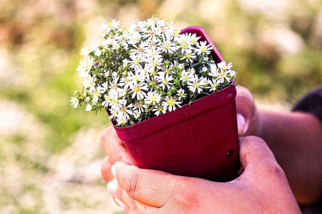 C’est le printemps et la nature se réveille