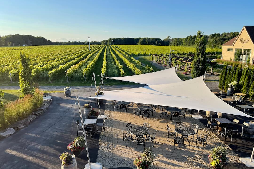 Vignoble Rivière du Chêne