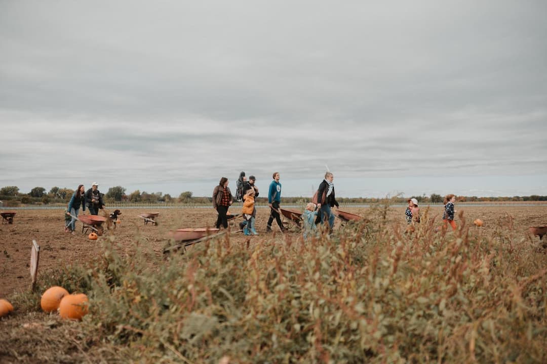 Centredinterpretationdelacourge