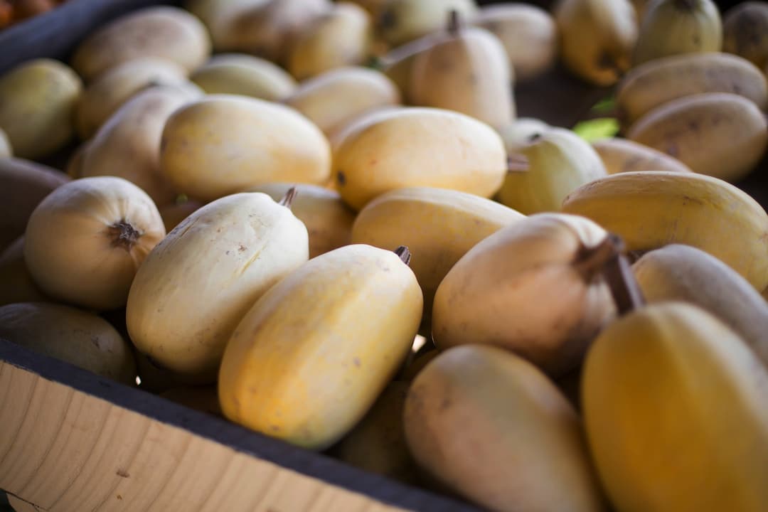 Centredinterpretationdelacourge