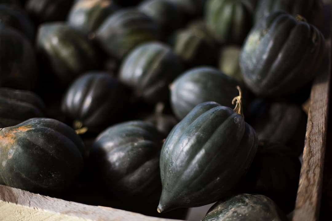 Centredinterpretationdelacourge