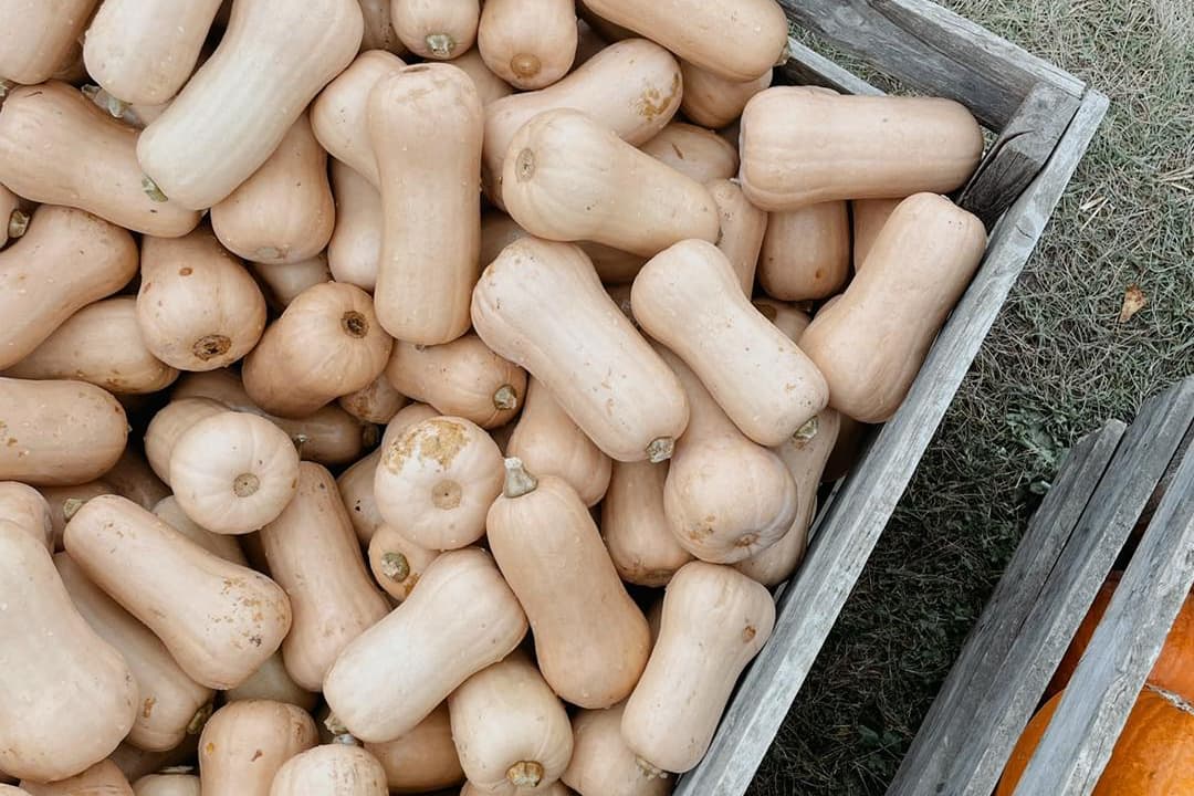 Centredinterpretationdelacourge