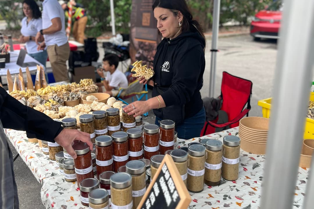 marchepublicderosemere