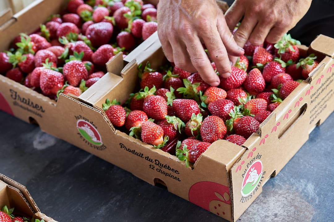 Aupaysdespetitsfruits