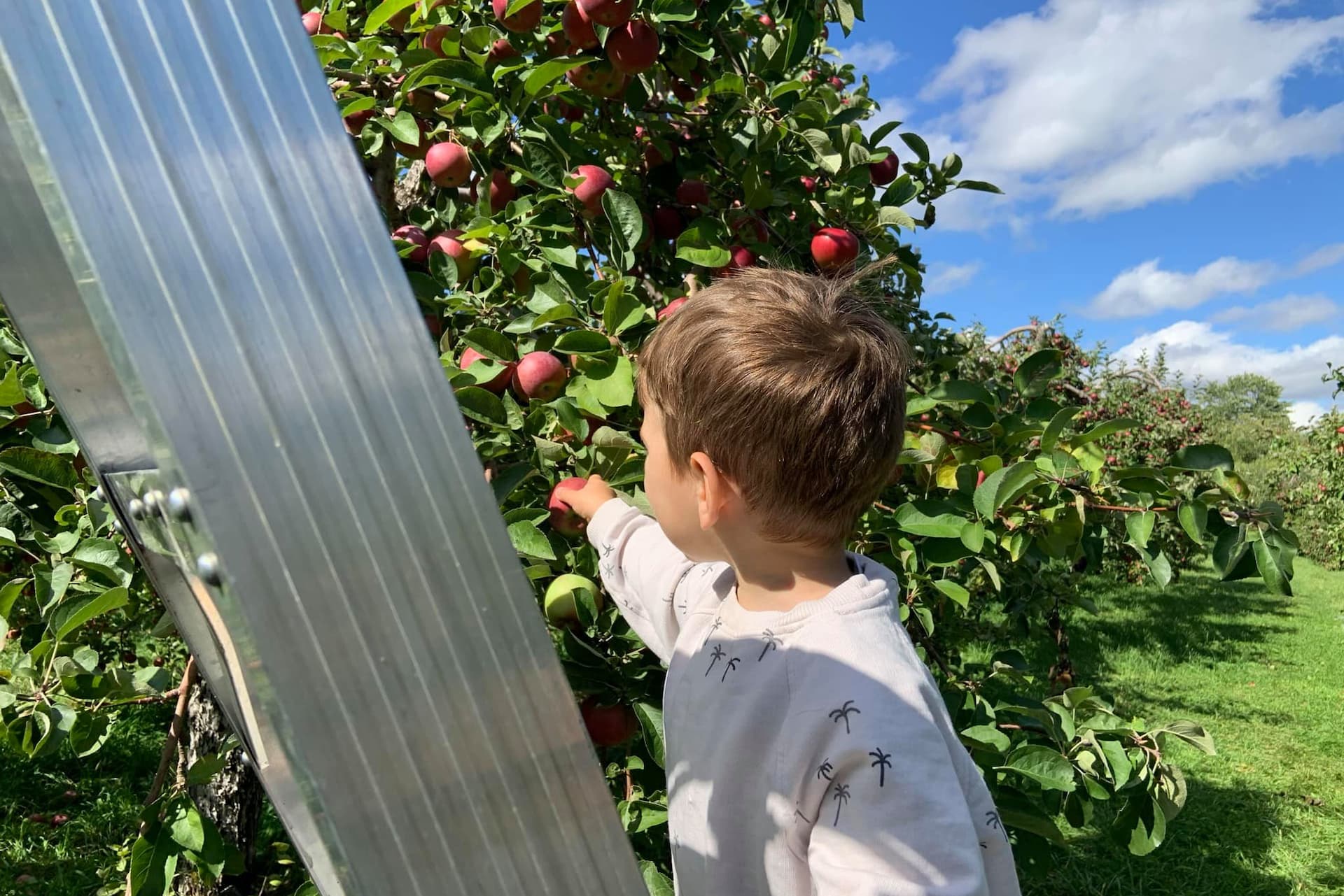 Profiter de l'automne en famille