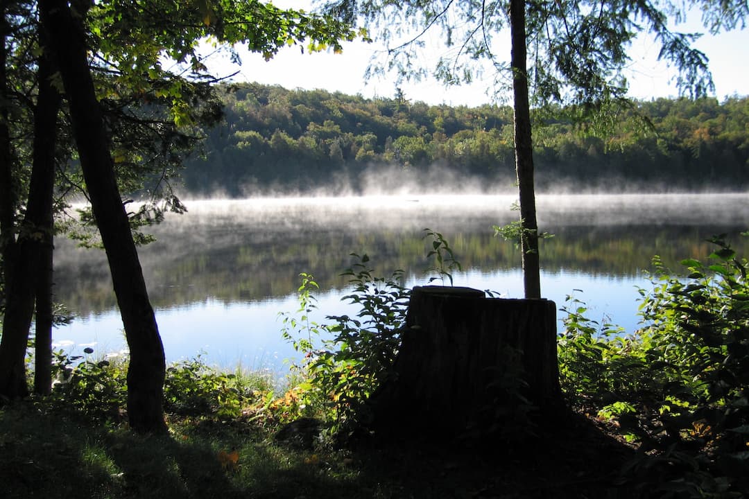 Boisé multiressource Von Allmen