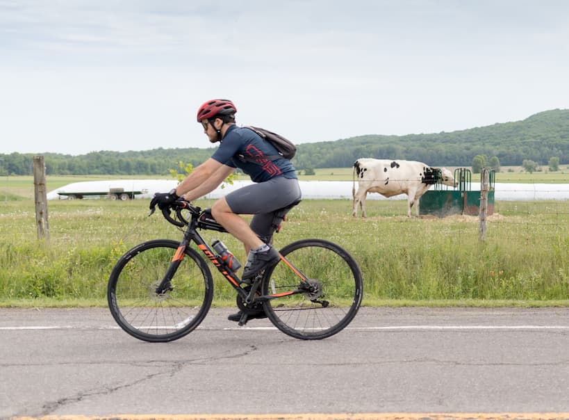 Activités printemps