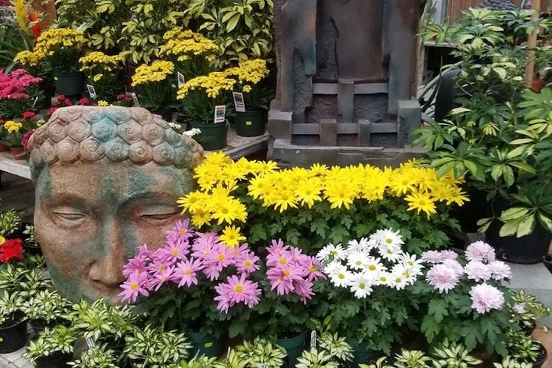 Pépinière Éco-Verdure