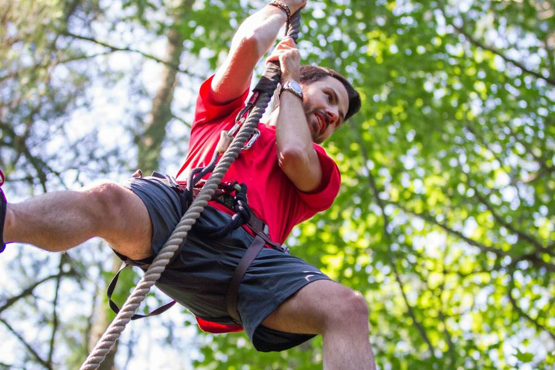 Escalade, hébertisme