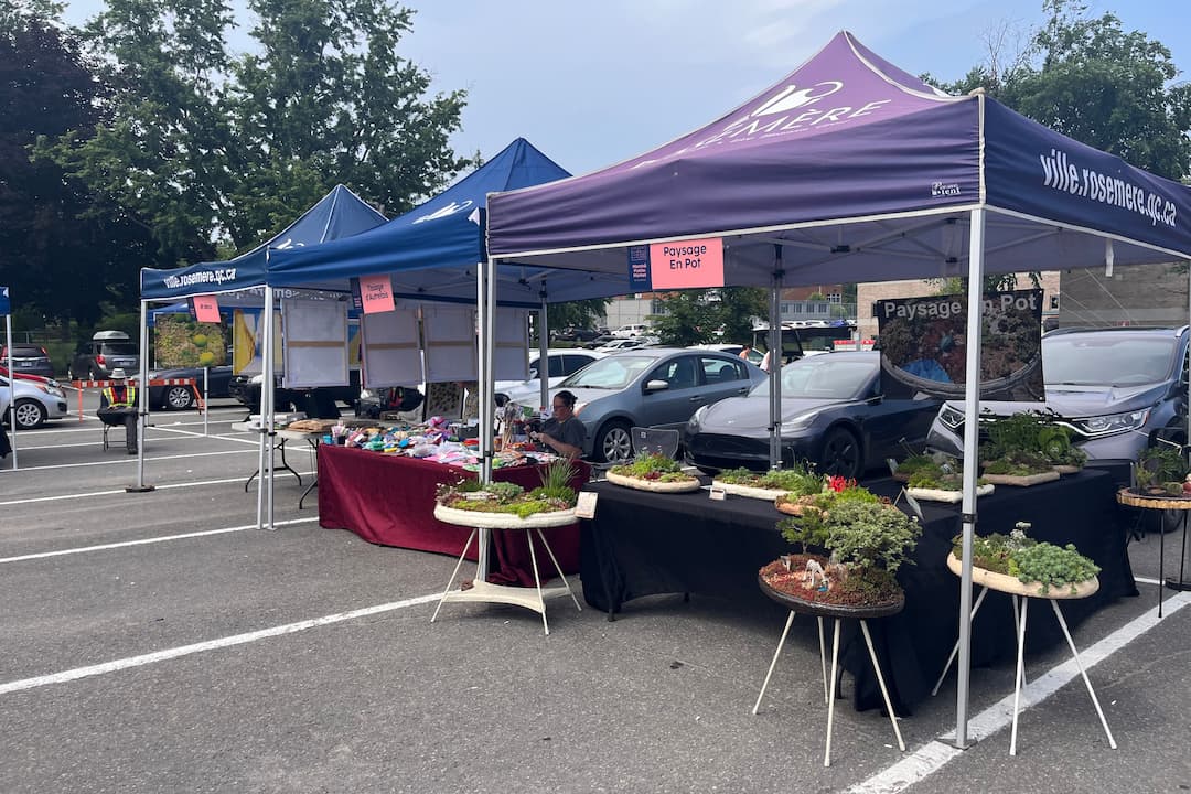 marchepublicderosemere