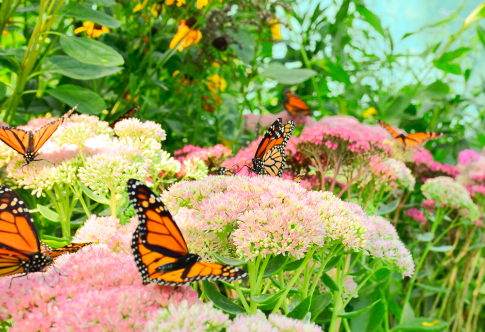 partir en road trip sur la 148