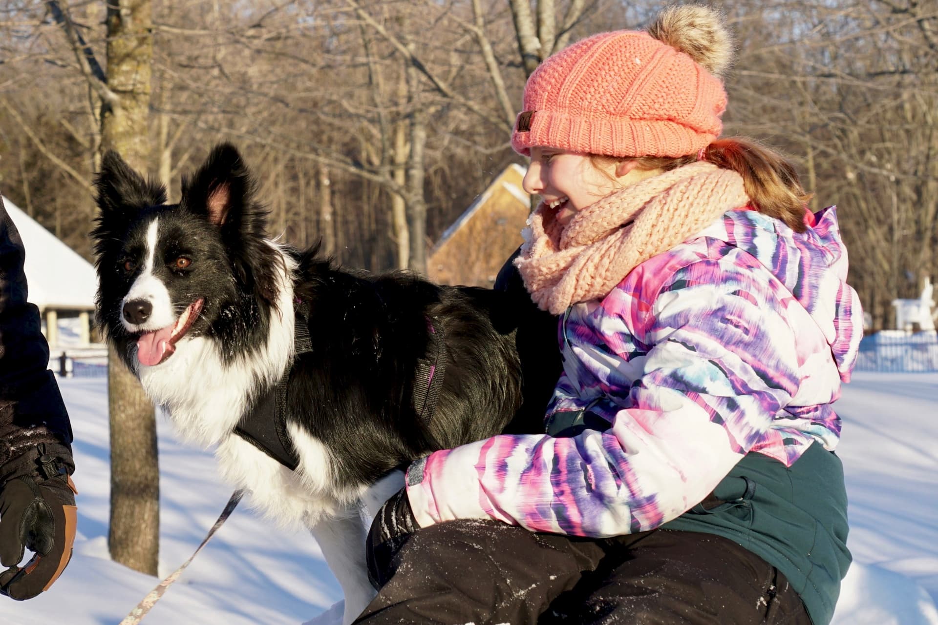 Journeeactivitefamilleanimaux