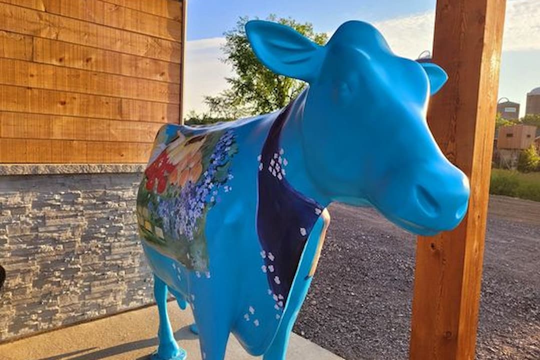 Vache bleu