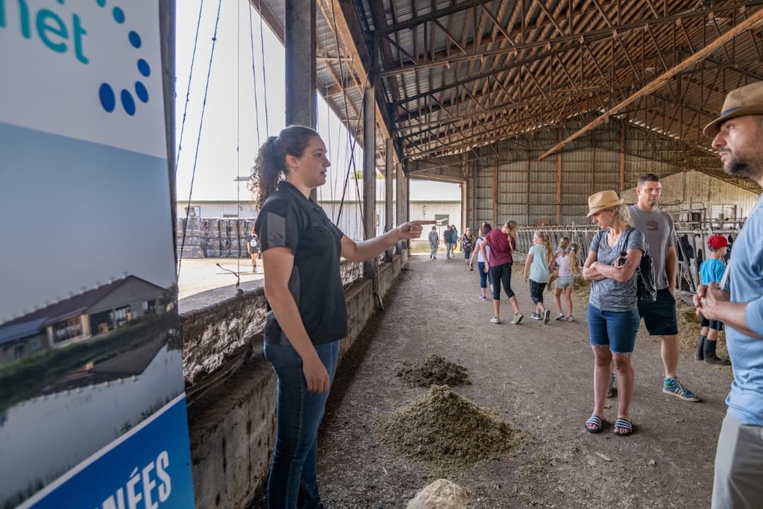 Visite guidée de la ferme