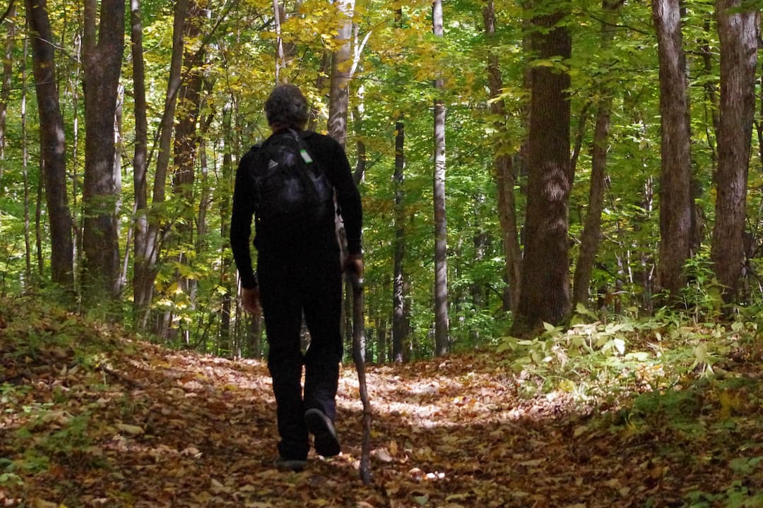 La Marche d'Alphonse