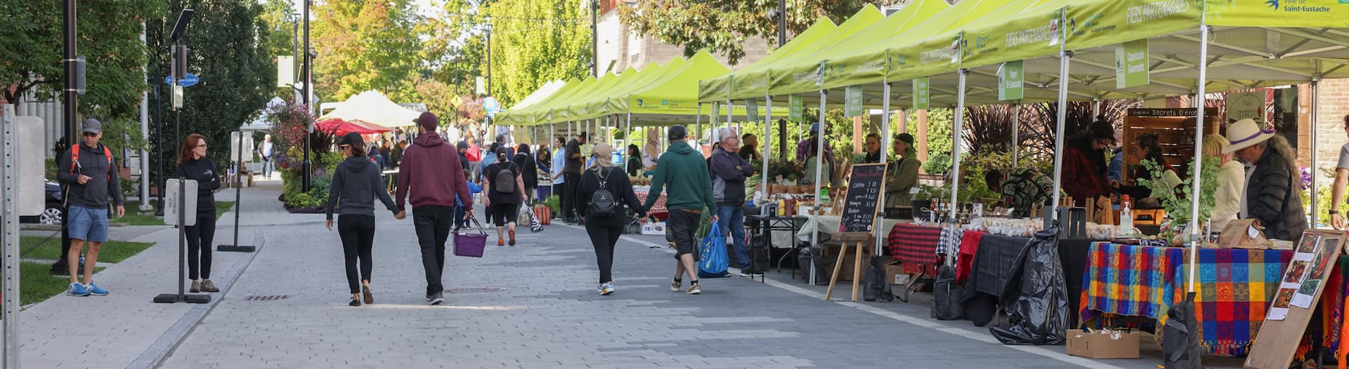 Agrotourisme et saveurs régionales