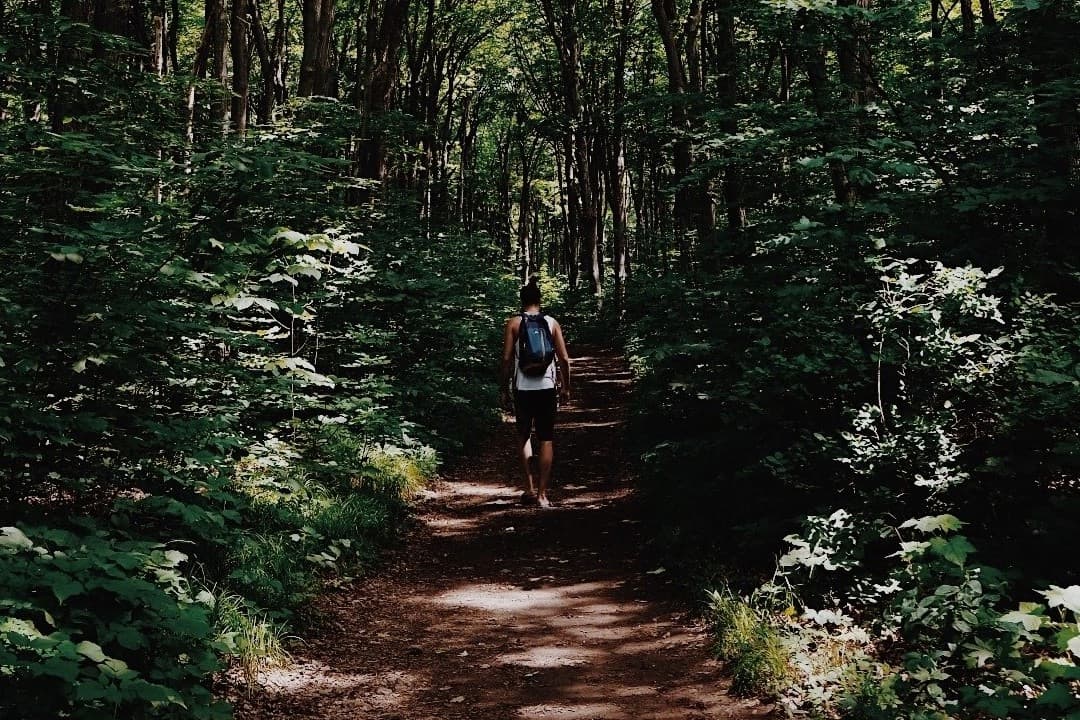 Marcheur sur un sentier de terre dans une forêt