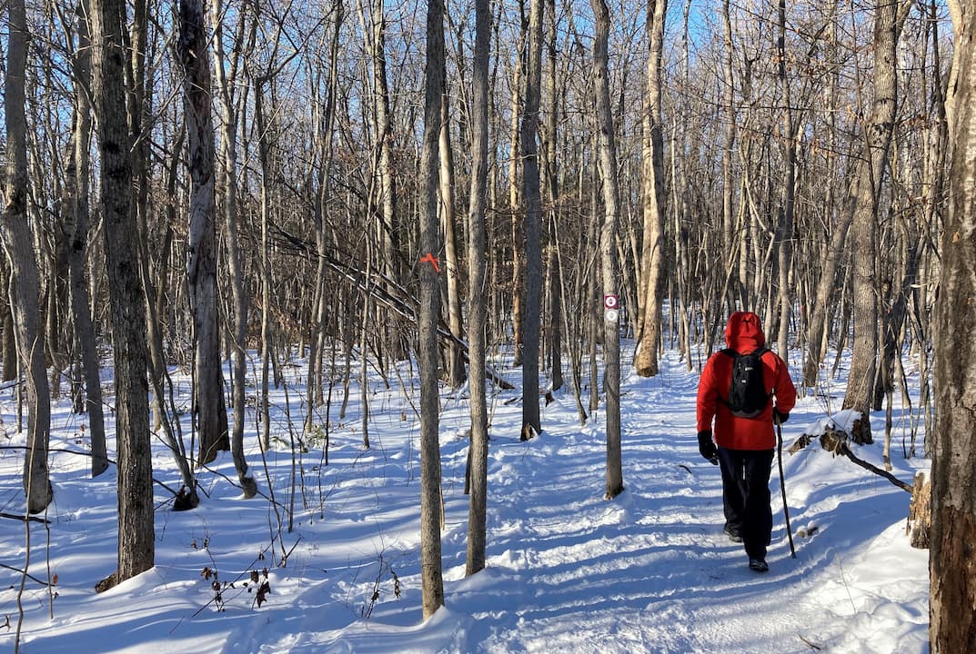 Un randonneur dans une forêt enneigée