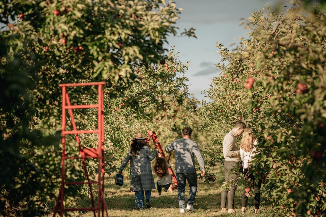 Cidrerie Lacroix - Verger & Table Gourmande