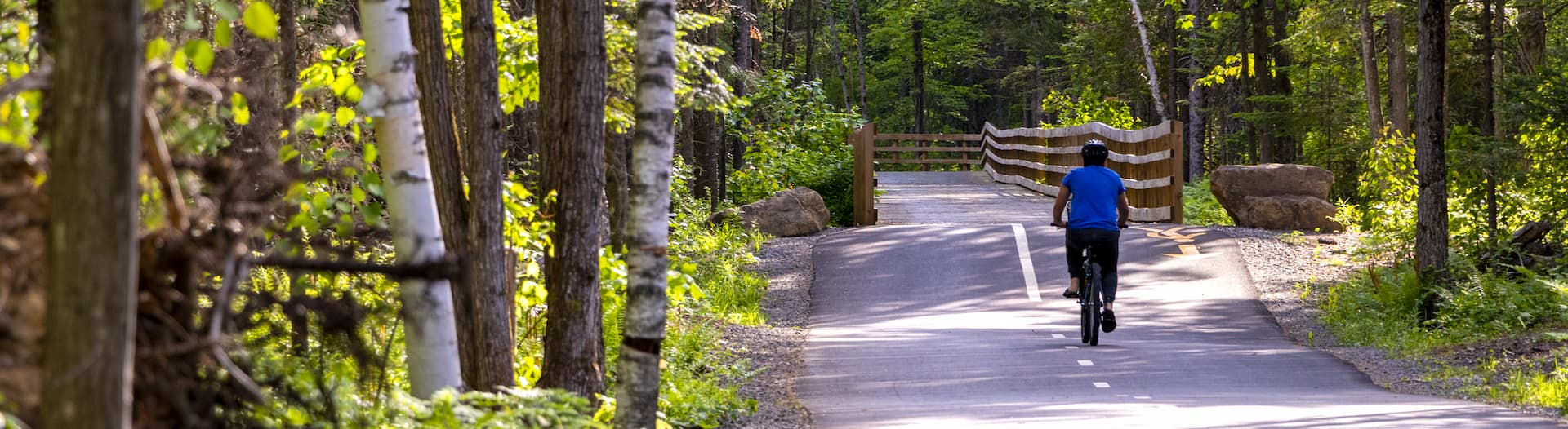 2023_theresedeblainville_printemps