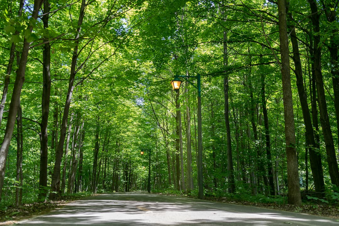 Vagabonde, Deux-Montagnes, Vélo