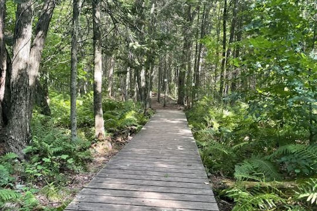 Boisé du Plan Bouchard