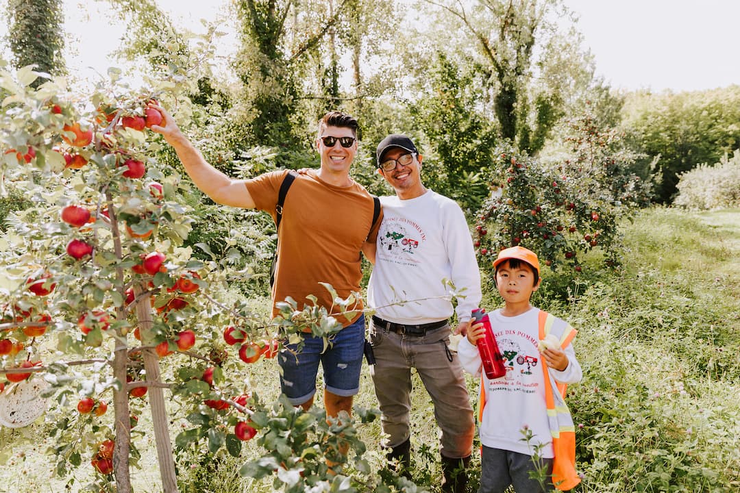 À La Croisée Des Pommes (bio)