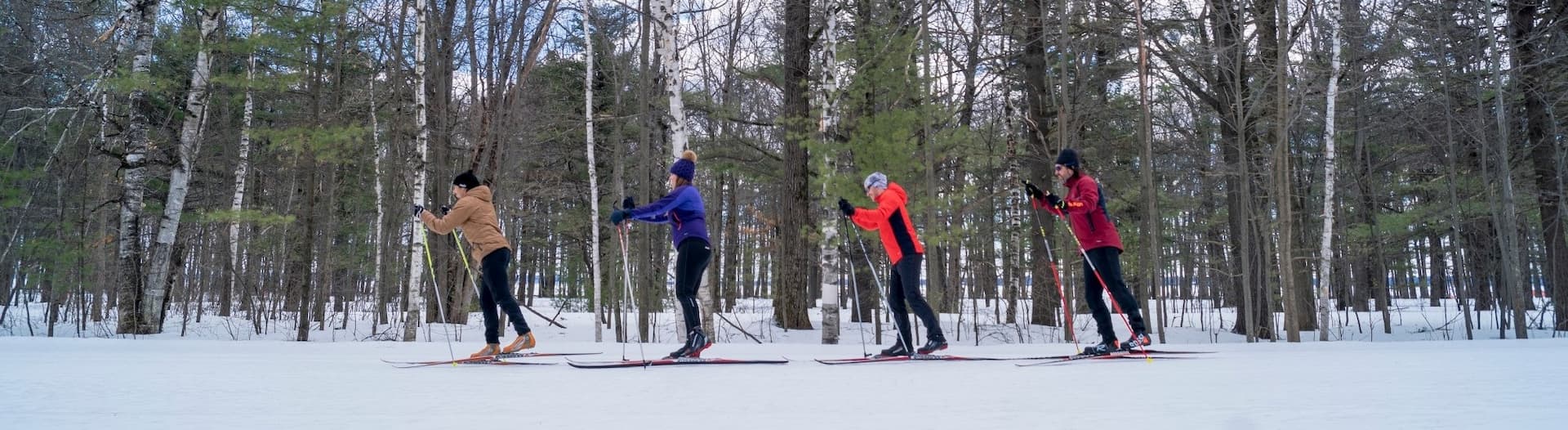 2023_hiver_naturepleinair