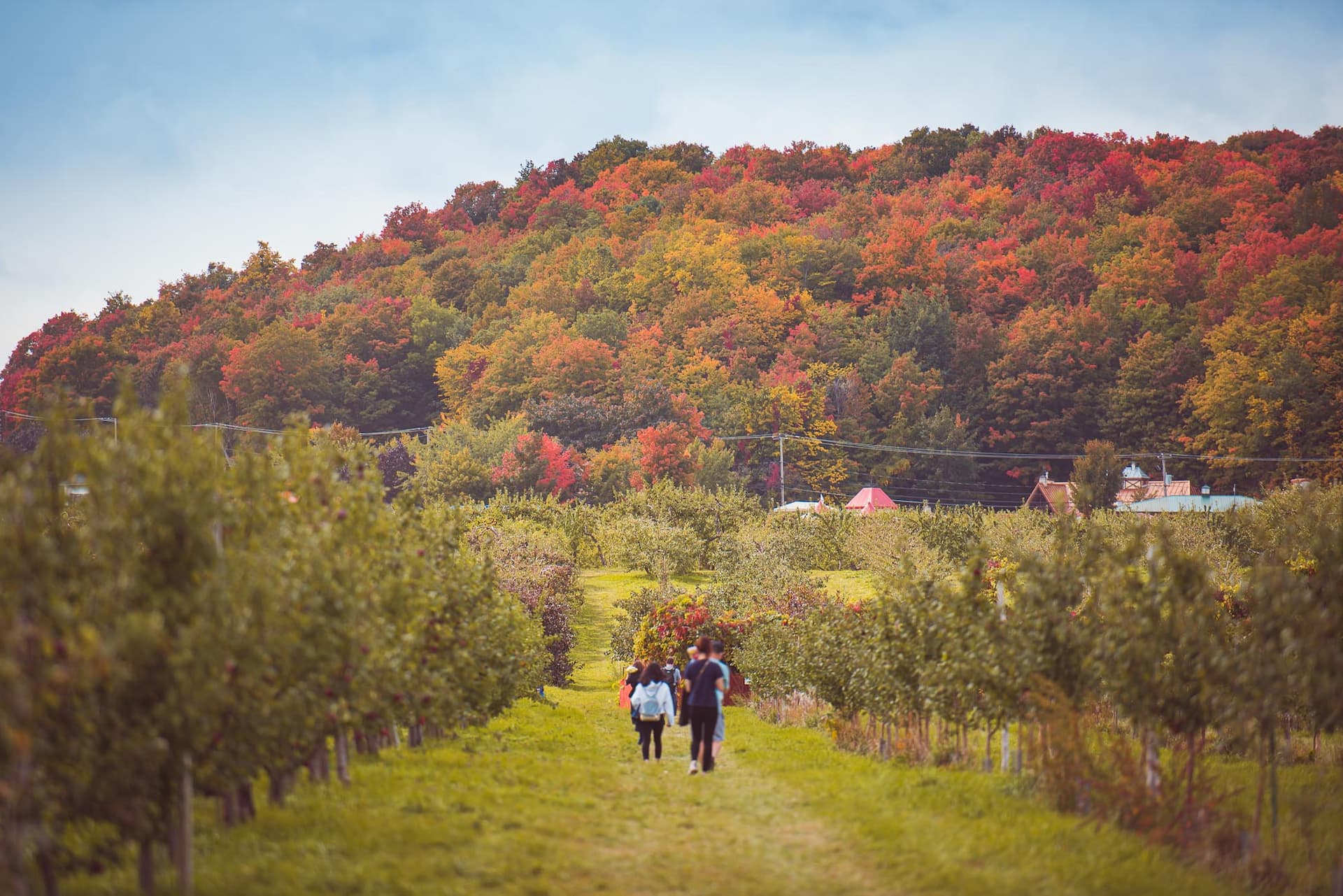 Rejoins-moi entre lacs et montagnes