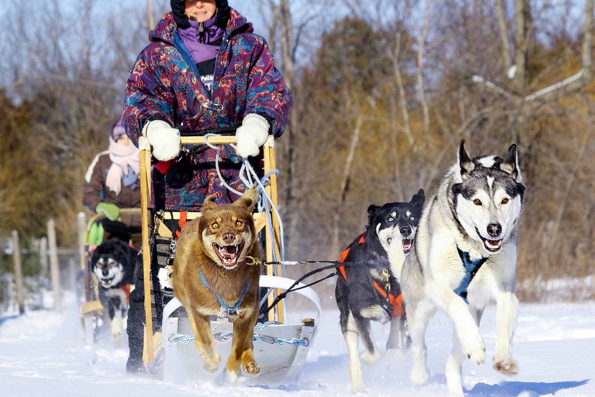 Patins, balades en traîneaux et glissades