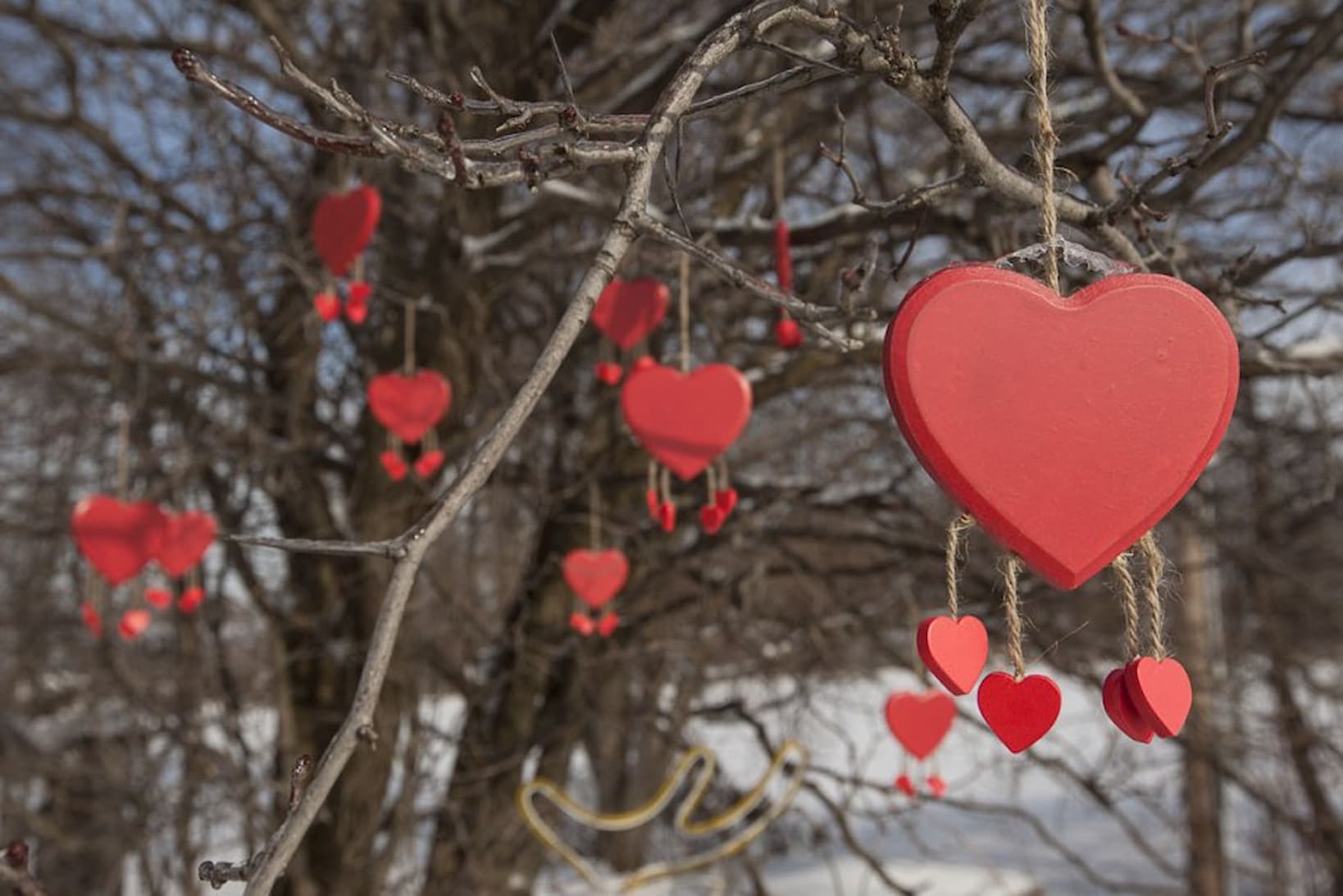 Célébrez la Saint-Valentin : idées cadeaux, activités et escapades romantiques