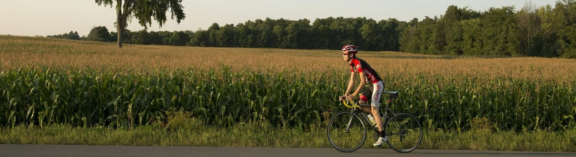 Vélo de route parmi les champs