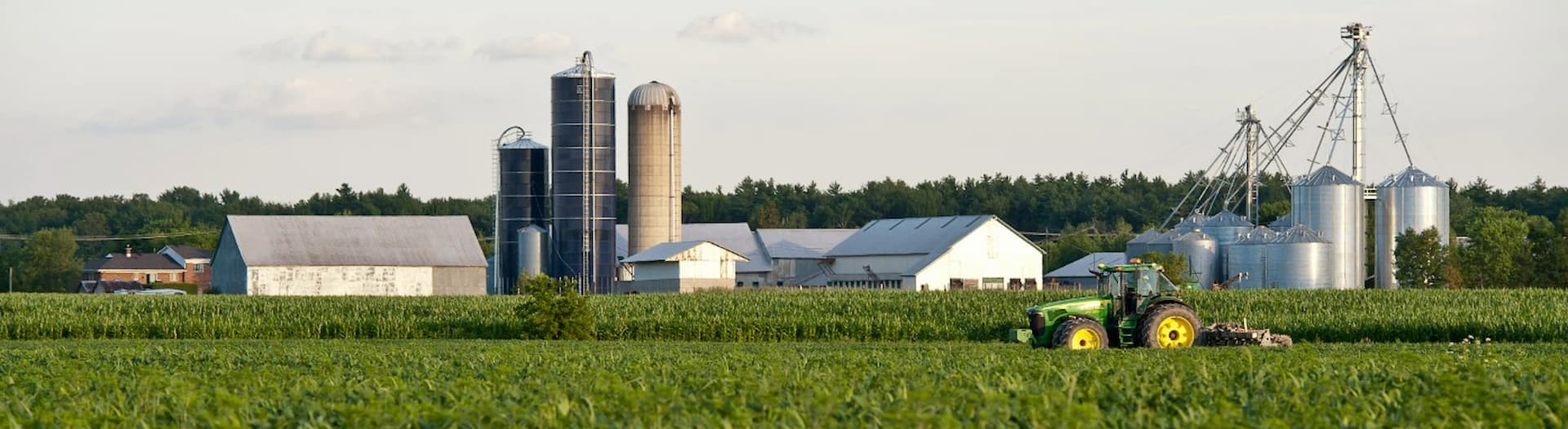 Tracteur récolte dans les champs sur une ferme