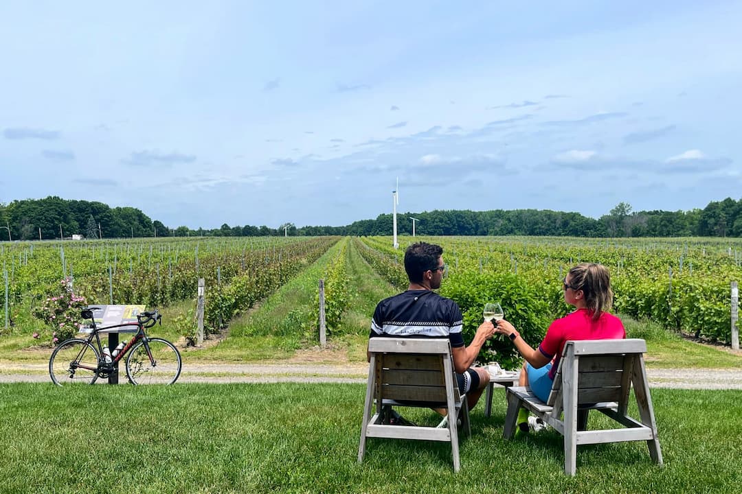 Pique-nique au vignoble