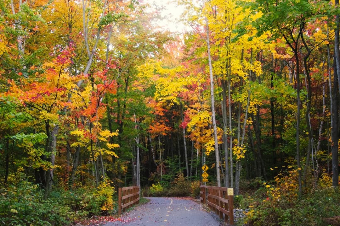 Piste cyclable La seigneurie des plaines à l'automne