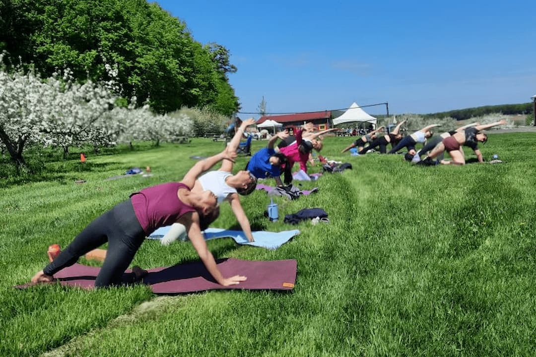 Yoga et pommiers en fleurs