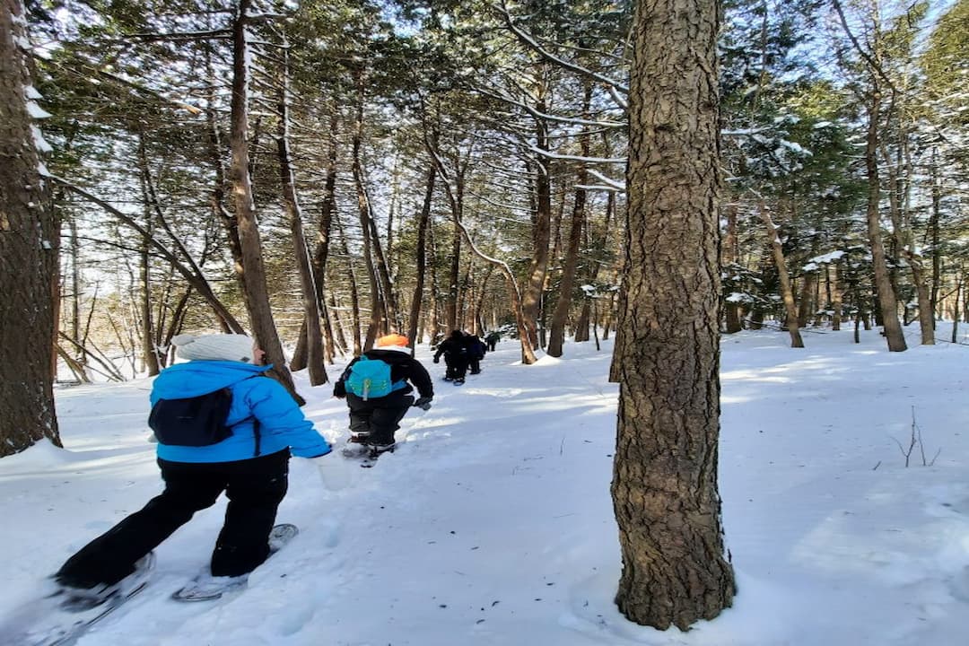 Rando-yoga hivernale Mirabel
