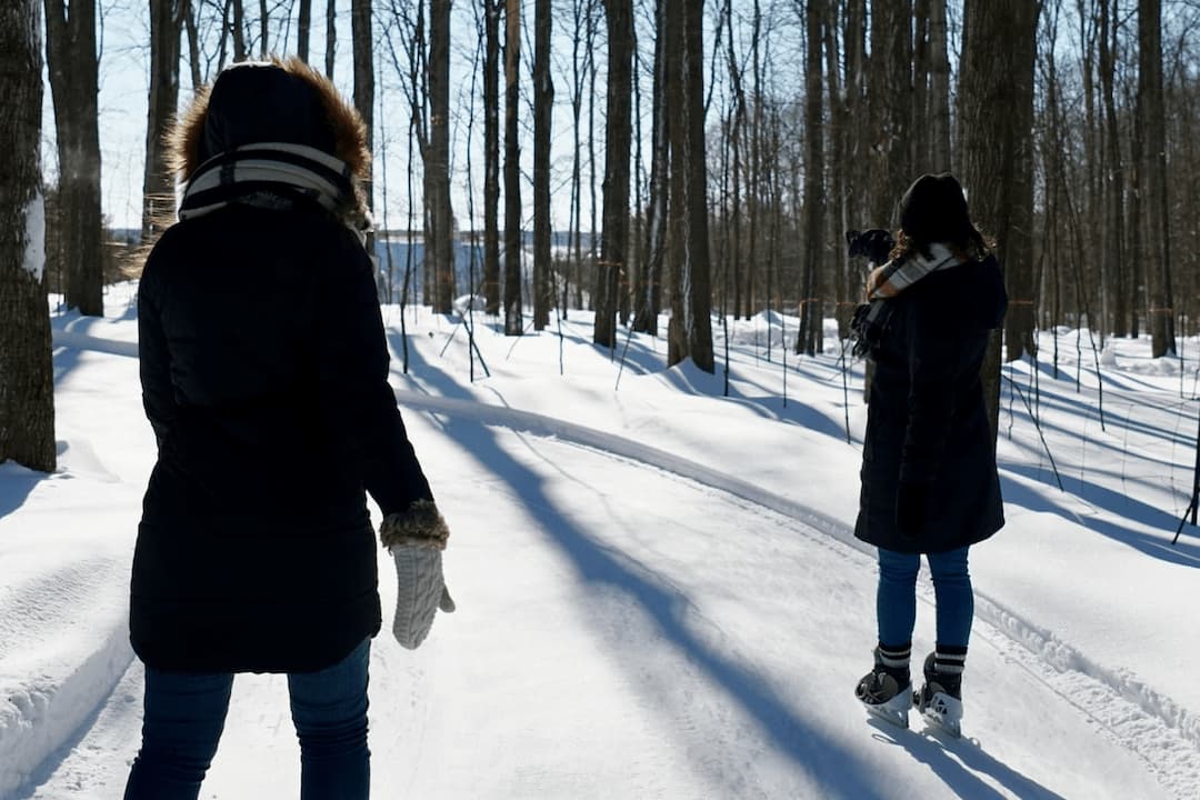 Un couple qui s'enlace sous une chute de neige.