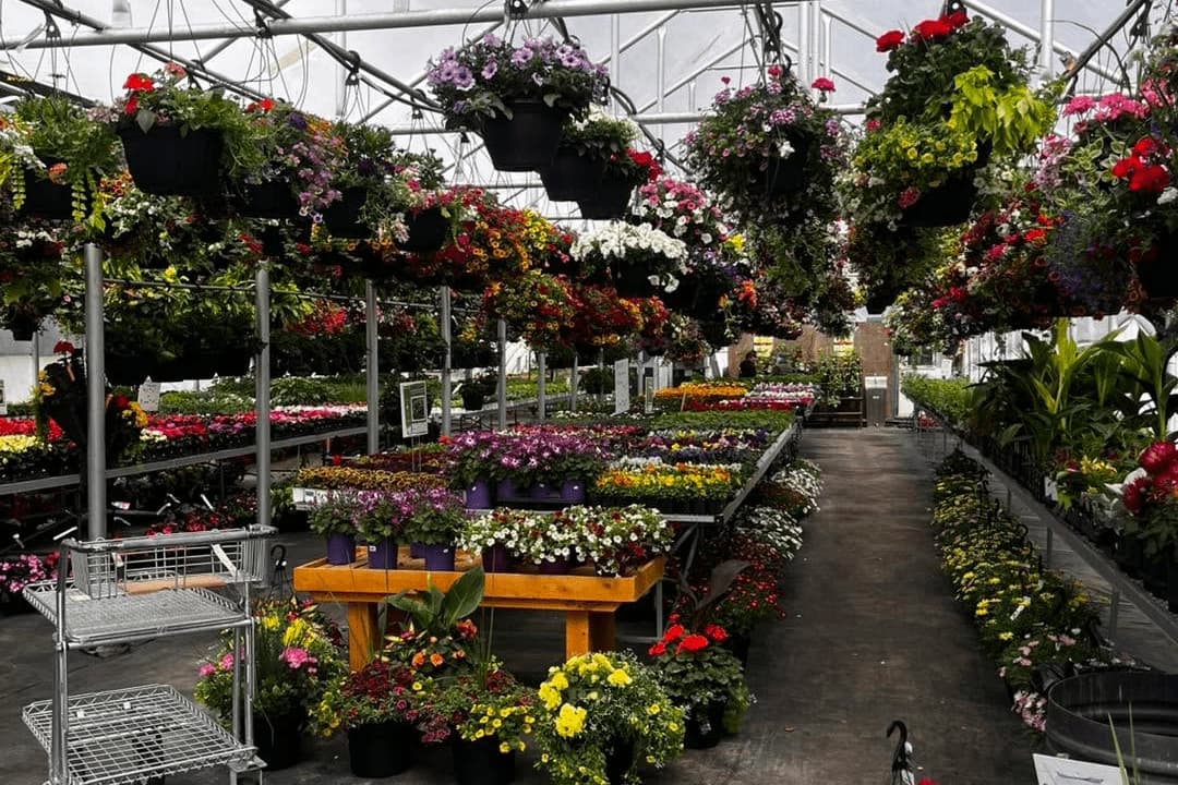 LeJardinDeLachute