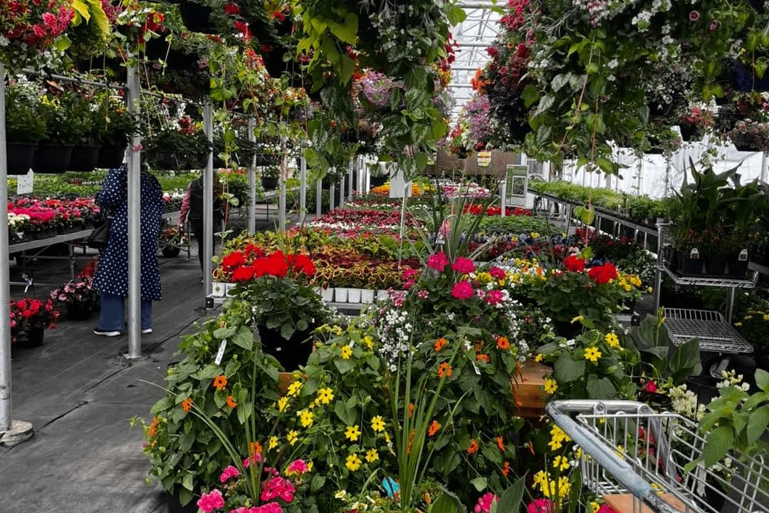 LeJardinDeLachute