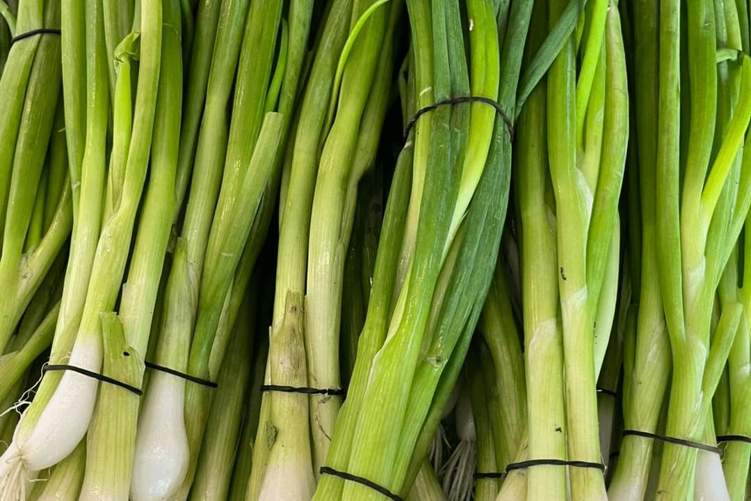 LeJardinDeLachute