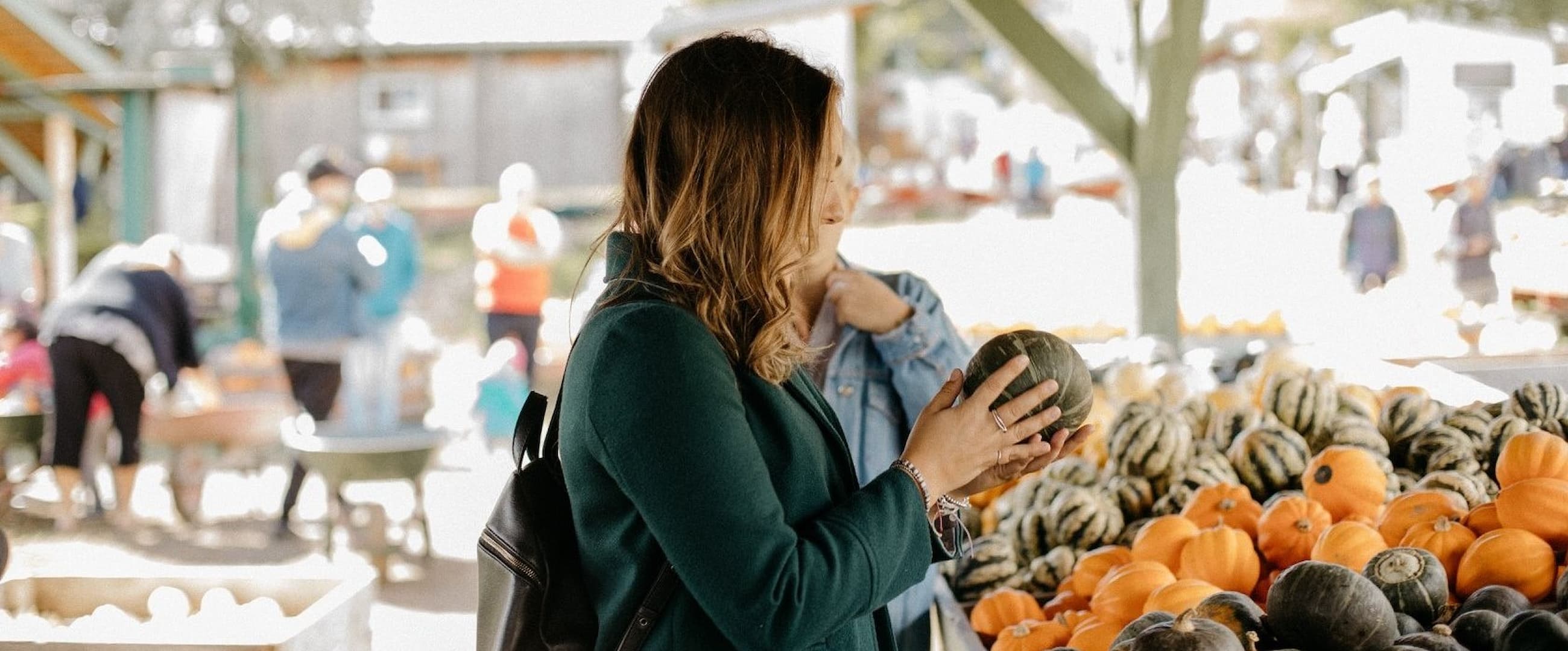 L'autocueillette de courges et de citrouilles