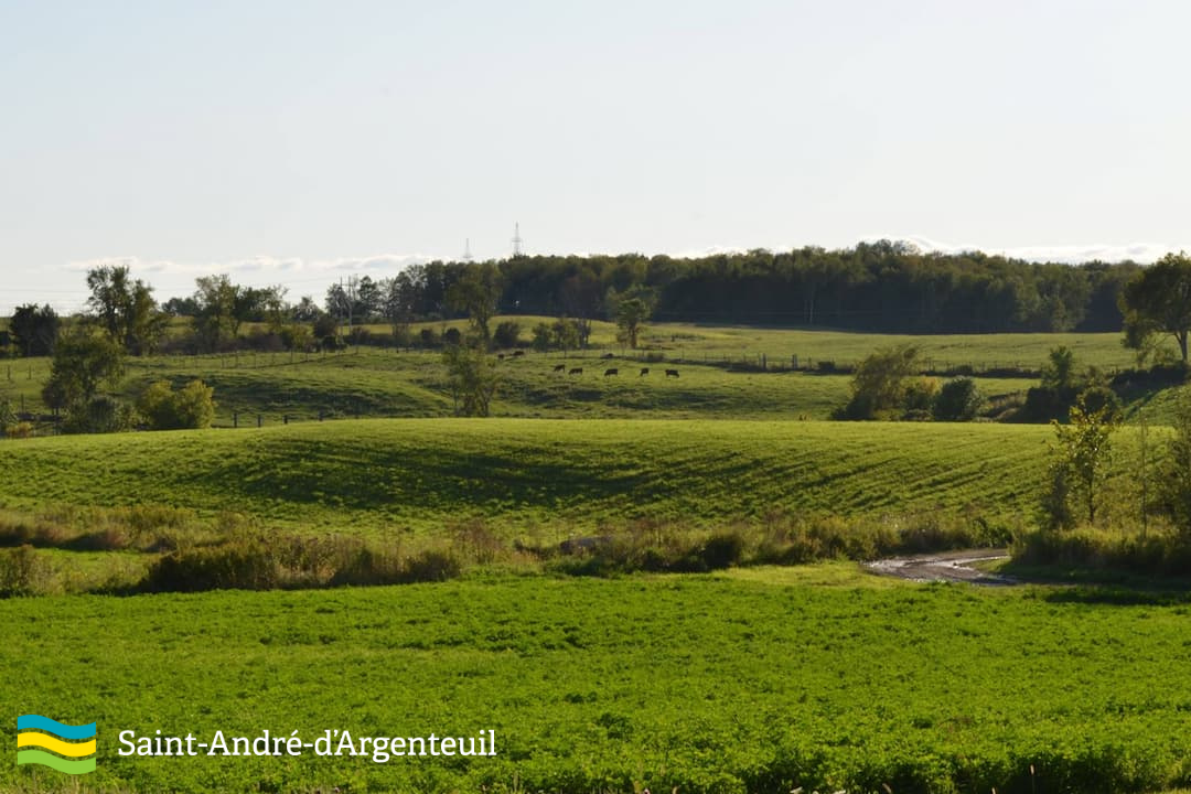 Municipalité de Saint-André-d'Argenteuil