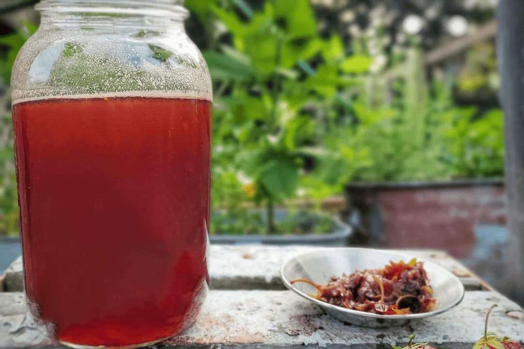 boissons rafraîchissantes aux fleurs et aux herbes