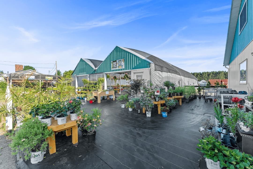 LeJardinDeLachute