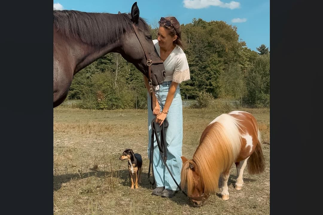 Femme avec chevaux et chien à l'Érablière du Domaine des Centaures